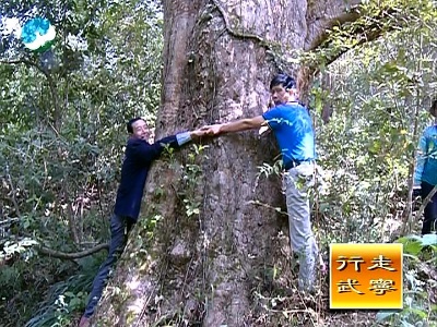 行走武宁：寻访碛溪山 上