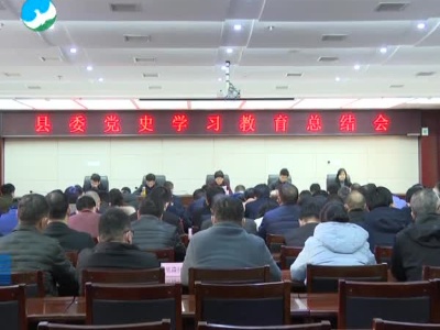 武宁县委党史学习教育总结会议召开