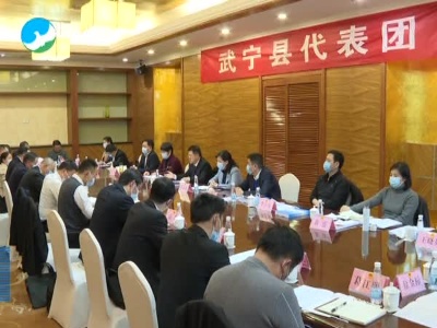 在浔出席市十六届人大二次会议的武宁县代表团集中审议市政府工作报告及其他报告