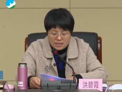 武宁县委书记洪碧霞主持召开县委党建工作领导小组会.mpeg