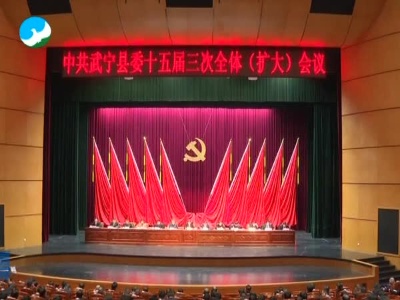 武宁县委十五届三次全体（扩大）会议召开.mpeg