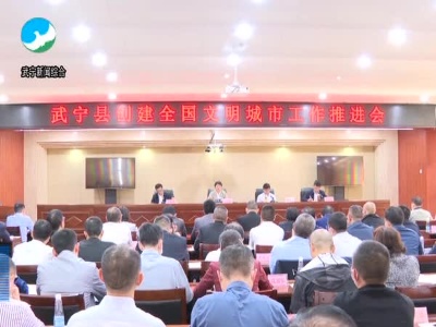 【头条】洪碧霞在创建全国文明城市工作推进会上强调：聚力打好长效“组合拳” 推动创文工作取得更大实效