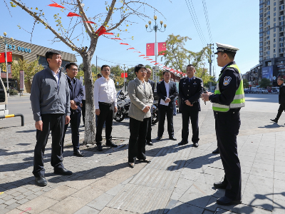 洪碧霞在创建全国文明城市工作推进会上强调：聚力打好长效“组合拳” 推动创文工作取得更大实效