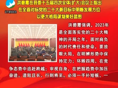 武宁县委书记洪碧霞在县委十五届四次全体(扩大)会议上指出在全面对标党的二十大新目标中明晰发展方位以更大格局谋划美好蓝图