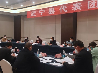 在浔出席市十六届人大三次会议的武宁县代表团继续审议市政府工作报告及其他报告