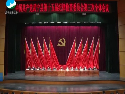 中共武宁县第十五届纪律检查委员会召开第三次全体会议