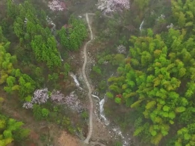 九江武宁：雾里看花别样景