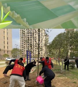 豫宁街道豫和社区：创文春风起 植树添新绿