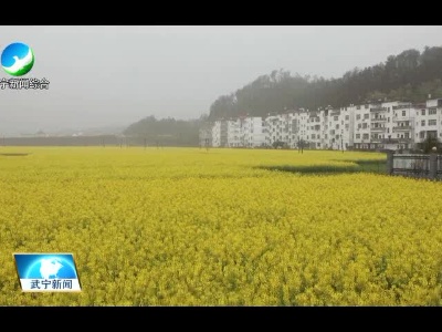 武宁县遭受强对流天气 最大降雨量一小时达33毫米