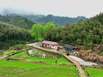 江西武宁：满目苍翠 “村”景如画