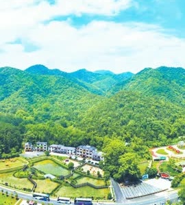 每日一景：山更青 权更活 民更富