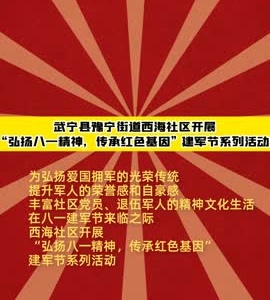 武宁县豫宁街道西海社区开展“弘扬八一精神，传承红色基因” 建军节系列活动