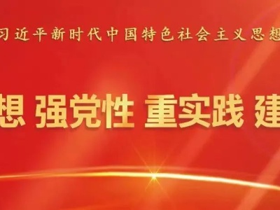 【学思想 强党性 重实践 建新功】以务实之风推动主题教育见行见效