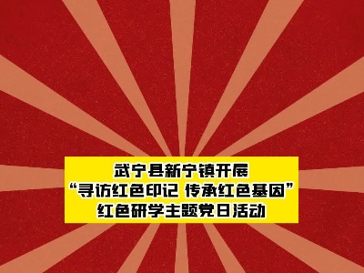 武宁县新宁镇开展“寻访红色印记 传承红色基因”红色研学主题党日活动