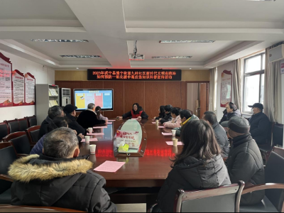 武宁县豫宁街道九岭社区开展如何预防一氧化碳中毒应急知识科普宣传活动