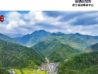 每日一景：稻香绿色大道