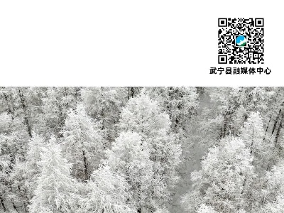 每日一景：林中雪景