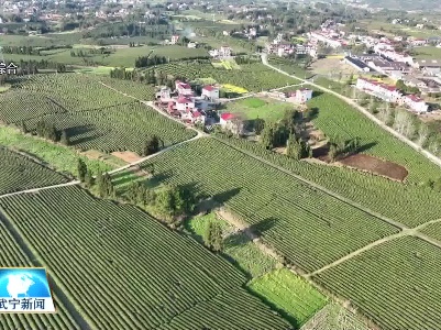 我县“茶旅融合”助力乡村振兴