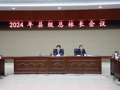 武宁县委书记洪碧霞主持召开2024 年县级总林长会议