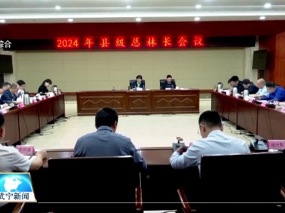 洪碧霞主持召开2024 年县级总林长会议