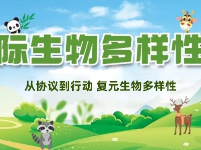 武宁县2024年生物多样性活动日线上答题