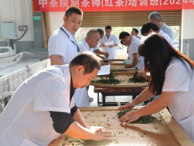 武宁县新宁镇举办中茶院制茶师（红茶）培训班