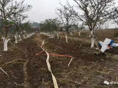 统战部帮扶纪实——“两业”扶贫篇