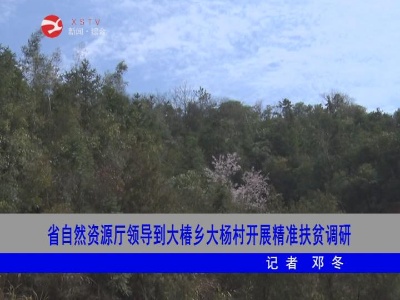 省自然资源厅领导到大椿乡大杨村开展精准扶贫调研