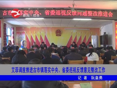 艾菲调度推进古市镇落实中央、省委巡视反馈意见整改工作