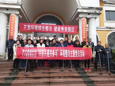 县茶科所大力开展环境综合整治