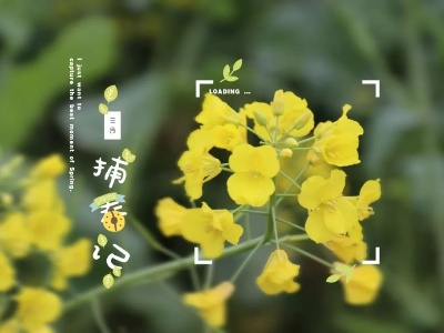 莫负春日好时光，来马坳踏青吧！