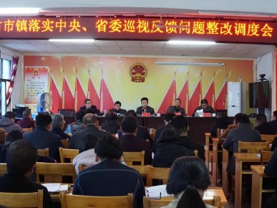 艾菲到古市镇调度巡视整改工作