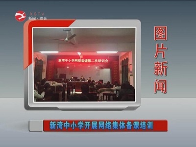 新湾小学开展网络集体备课培训