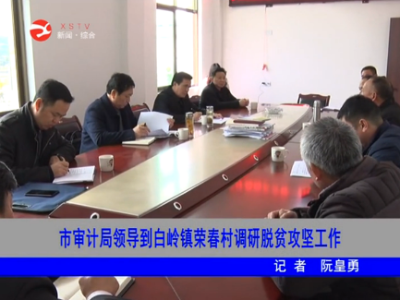 市审计局领导到白岭镇荣春村调研脱贫攻坚工作
