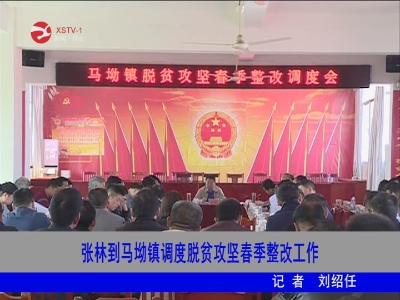 【脱贫攻坚】张林到马坳镇调度脱贫攻坚春季整改工作