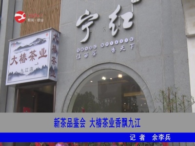  新茶品鉴会  大椿茶业香飘九江