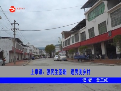 上奉镇：强民生基础建秀美乡村