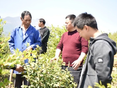 【脱贫攻坚】一个 “疯子”到“山财主”的脱贫梦，振奋人心