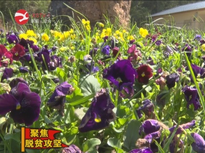 2019.4.18《修水新闻》完整版