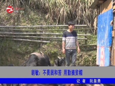 【脱贫故事】胡敏：不畏困和苦 用勤摘贫帽