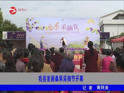 修水县首届桑果采摘节开幕