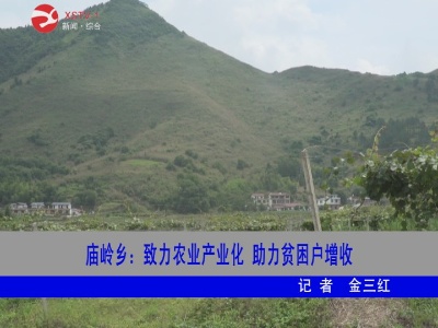 庙岭乡:致力农业产业化  助力贫困户增收