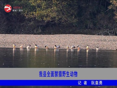 修水全面禁猎野生动物