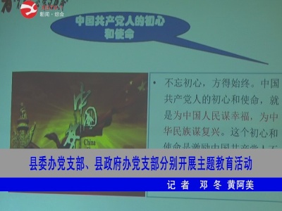 修水县委办党支部、县政府办党支部分别开展主题教育活动