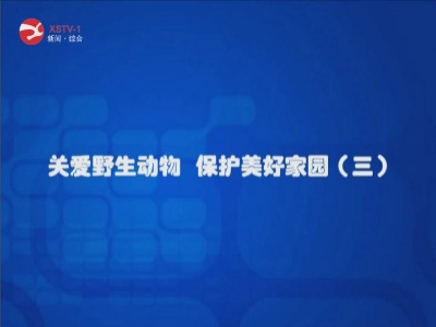 关爱野生动物 保护美好家园(三)