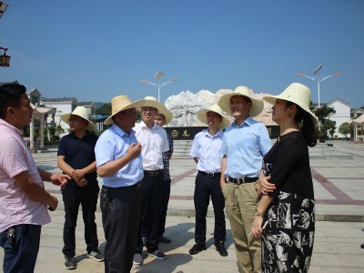 省科协党组书记、常务副主席罗莹一行到我县调研