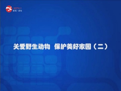 关爱野生动物  保护美好家园(二)