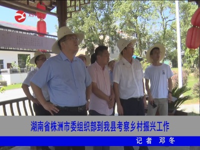 湖南省株洲市委组织部到修水县考察乡村振兴工作