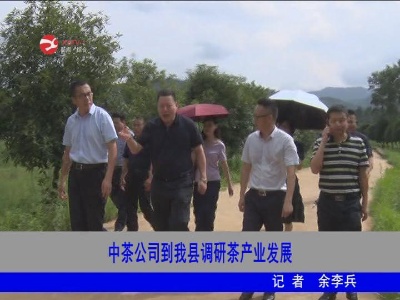 中茶公司到修水调研茶产业发展