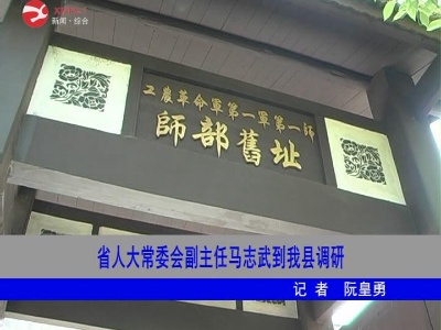 省人大常委会副主任马志武到修水调研